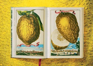 【お取り寄せ】J. C. Volkamer. The Book of Citrus Fruits